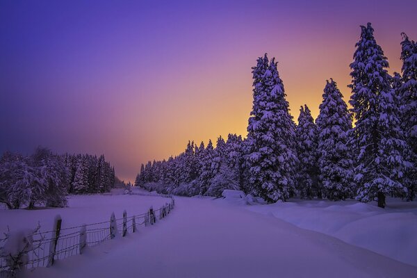 Eine verlassene Straße im Winter rund um den Wald