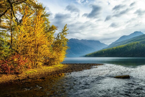 Rivière colorée à l automne