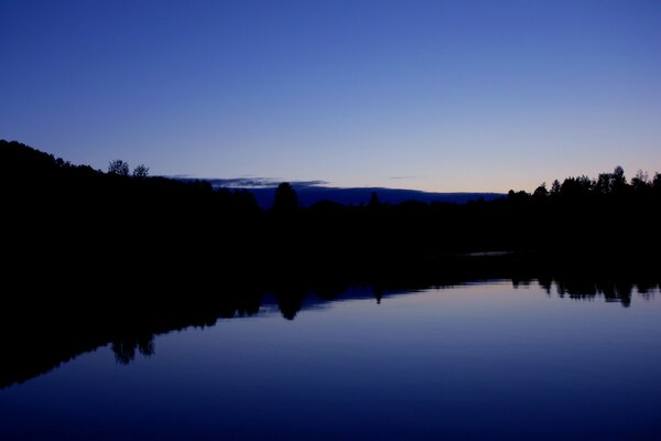 Sonnenaufgang über einem Waldsee in Blautönen