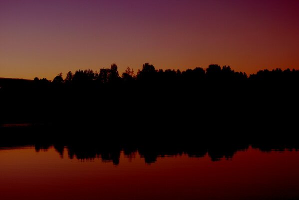 Tramonto sul lago della foresta