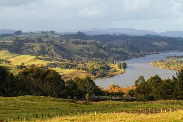 New Zealand landscape