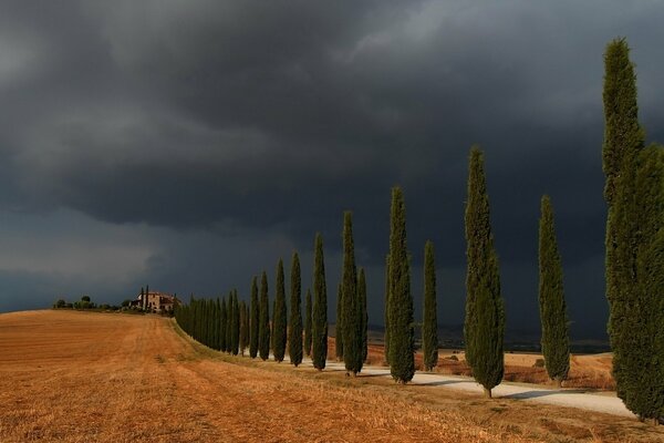 Ciel sombre sur la route jaune