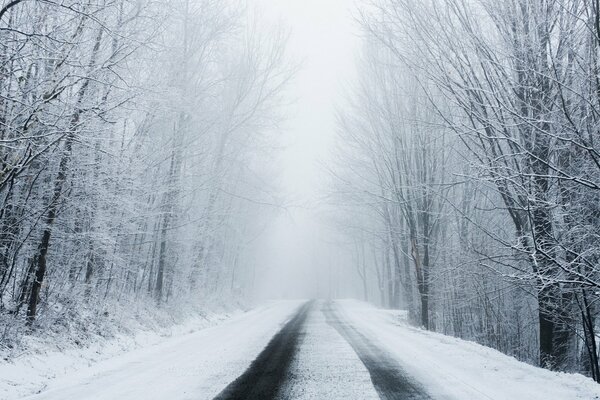 Paisaje la primera nieve en la carretera