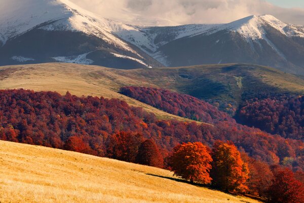 Paisaje de montaña con bosque rojo