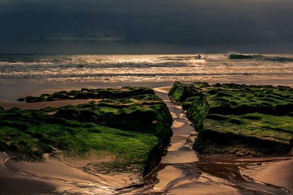 Océano al atardecer, surfista solitario