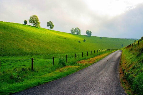 The road leading into the mountains past the trees