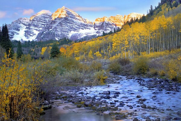 Paesaggio della foresta autunnale con fogliame giallo sullo sfondo di montagne innevate