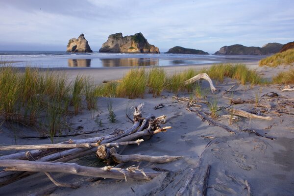 The New Zealand peace of the morning beacharennnnnnnnnn