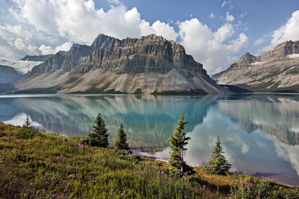 Unusual flowers by the lake in Canada. Mountains and lake