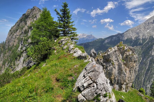 Grass grows on a rocky slope