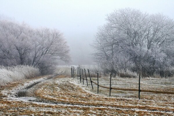 Felder und Bäume am Stadtrand sind mit Frost bedeckt