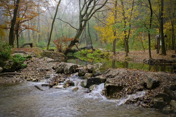 Pequeña cascada K en el bosque de otoño