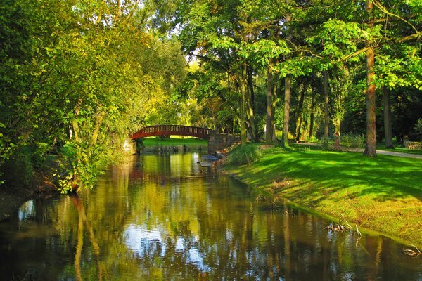 Río en el parque con un puente y hermosos árboles