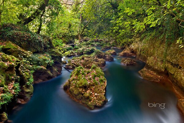 Grandes rocas en el lago del bosque