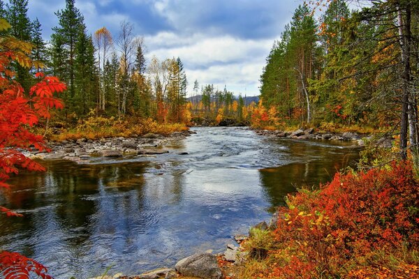 Helle Herbstbäume am felsigen Ufer am durchsichtigen Teich