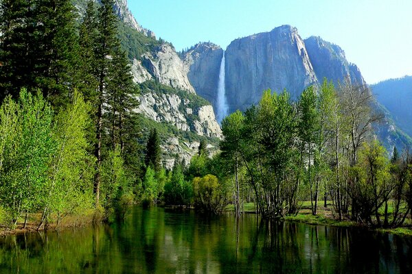 Parque nacional de Yosemite con árboles y rocas