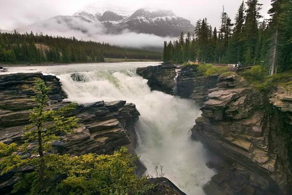 Cascata nelle rocce tra i boschi