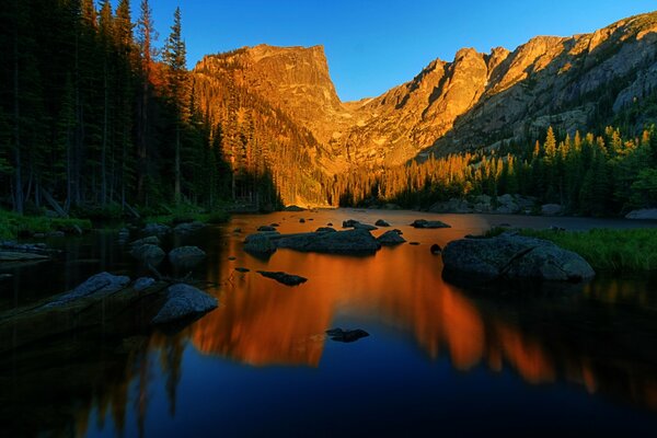 Mountains. River. Forest. Nature