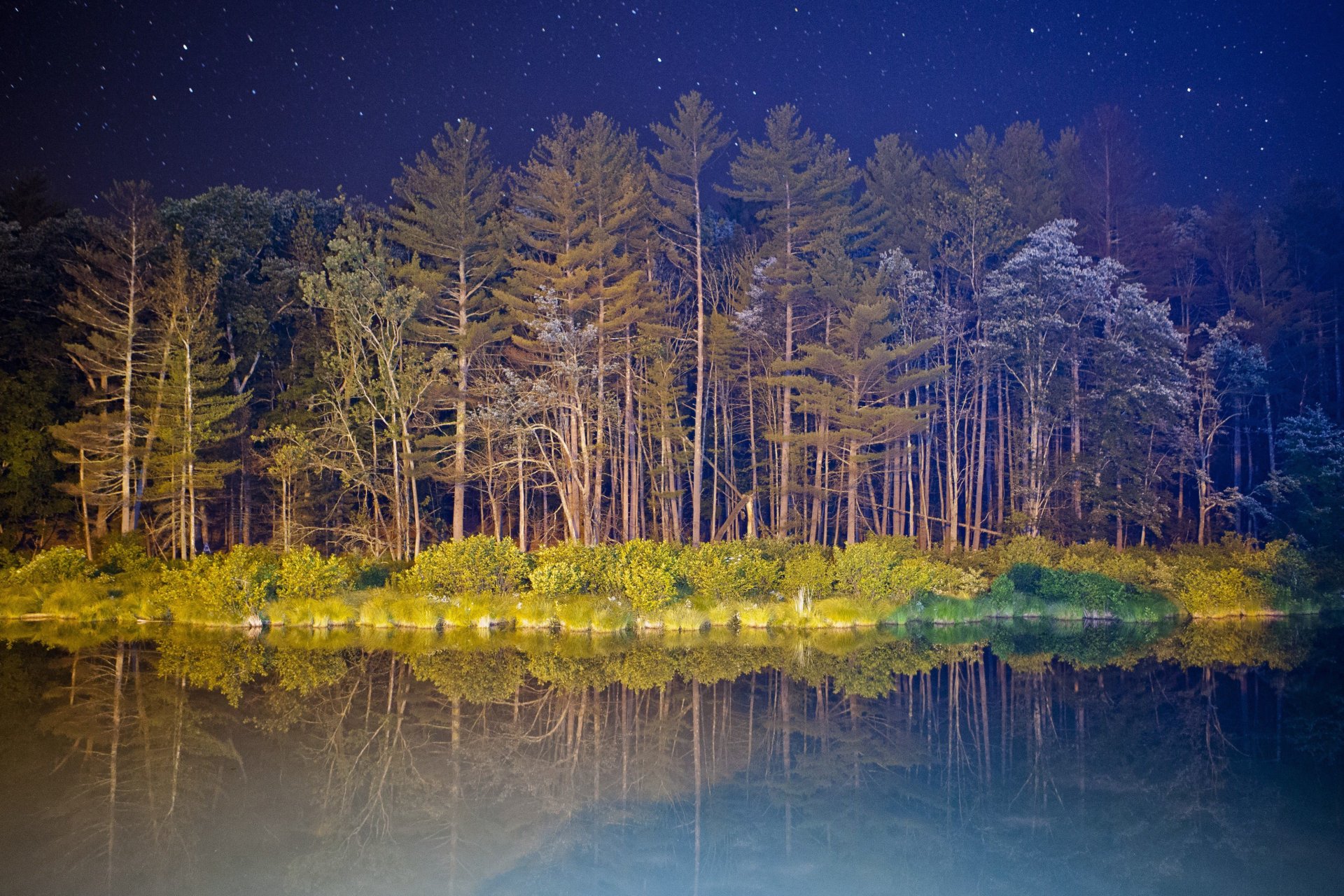 noche estrellas luz cielo árboles arbustos lago agua reflexión google nexus android kitkat