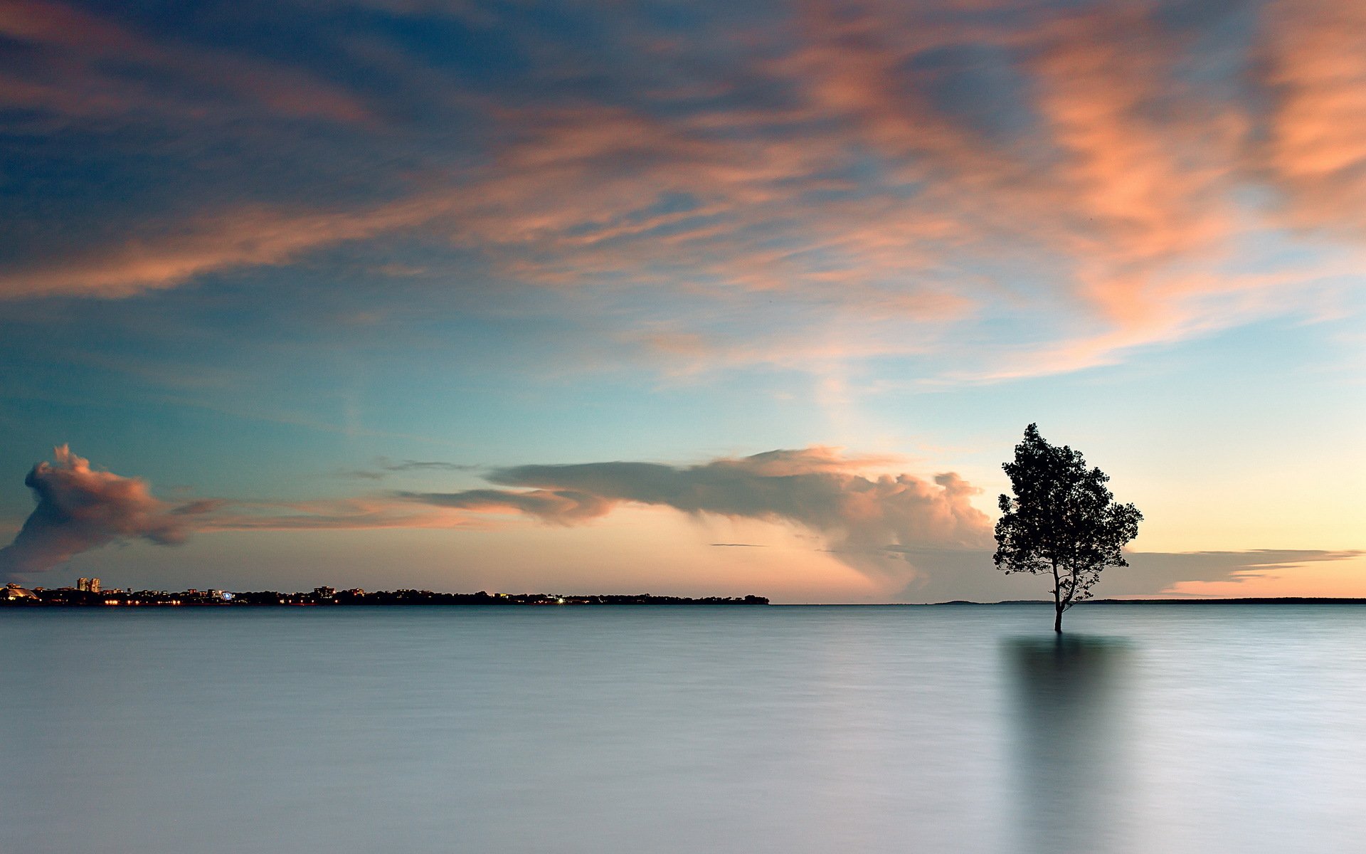 lago árbol paisaje