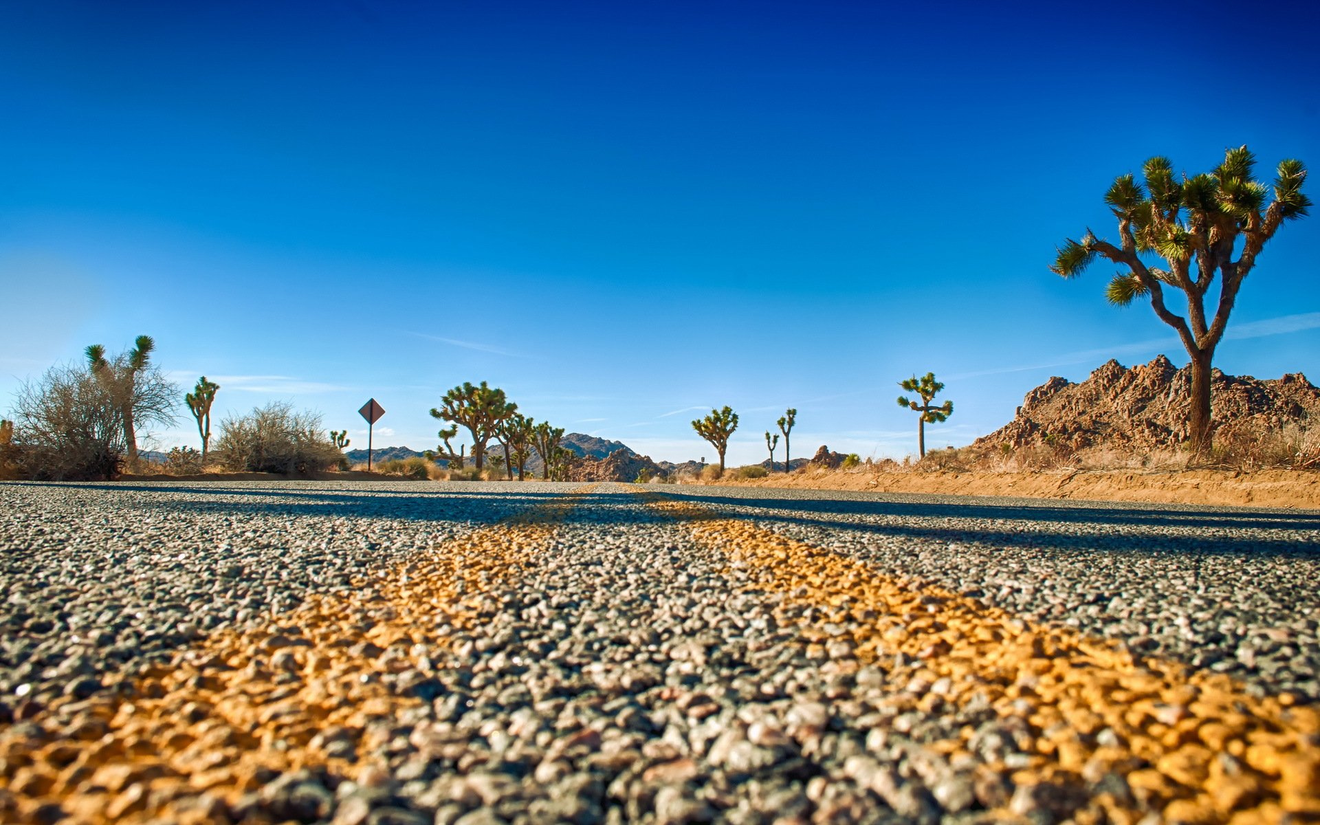 park narodowy joshua tree droga horyzont