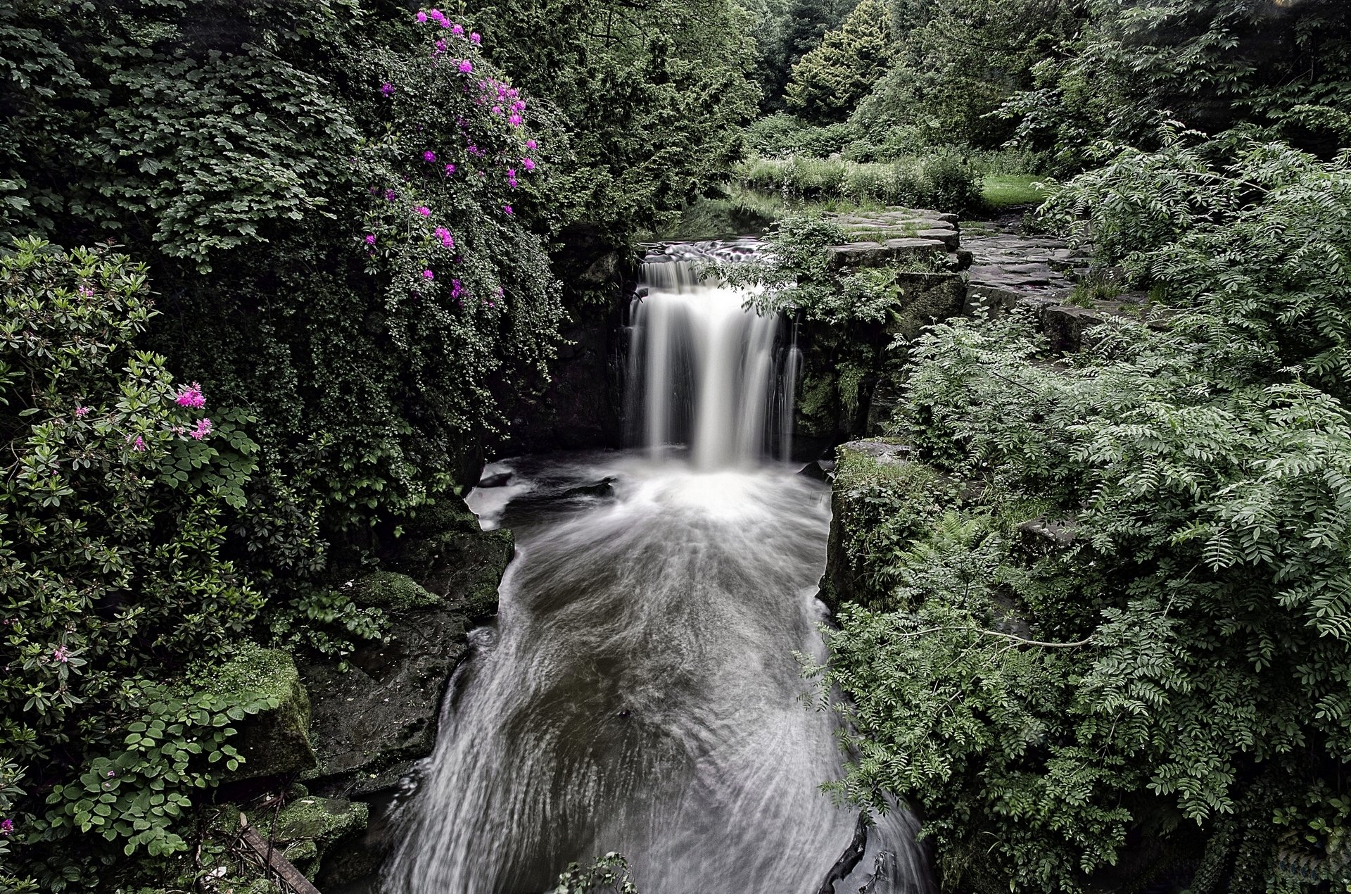 jesmond dene cascata newcastle inghilterra cascata foresta cespugli