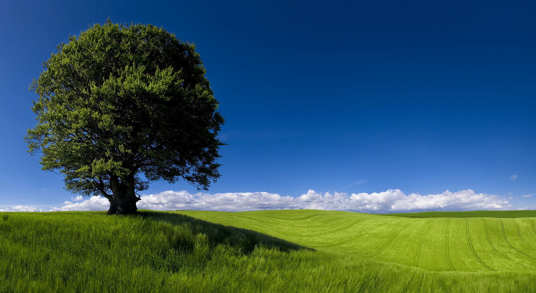 grüne horizonte landschaft felder cardiff newpor