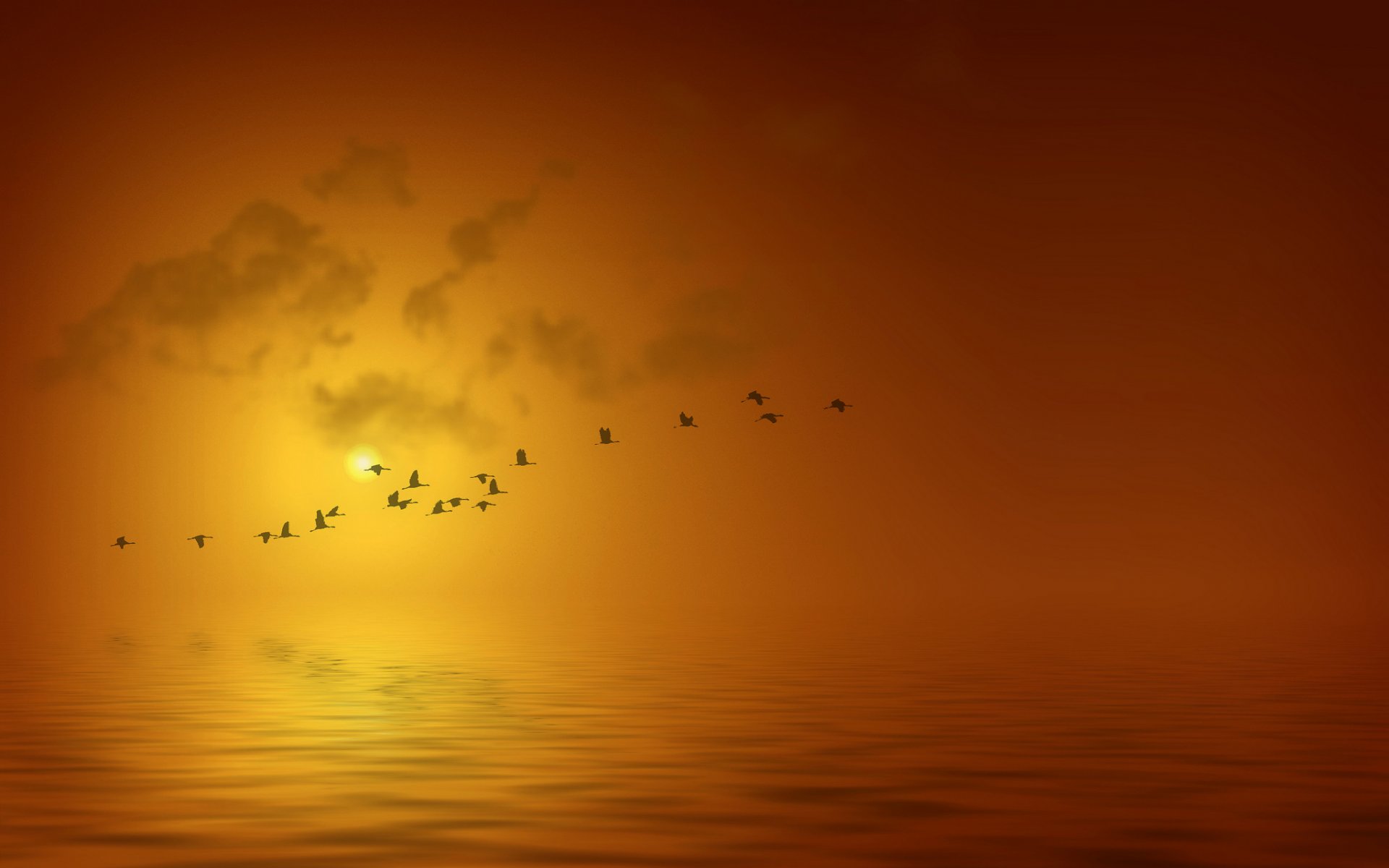 landscape sea water sun birds flight silhouettes sunset background