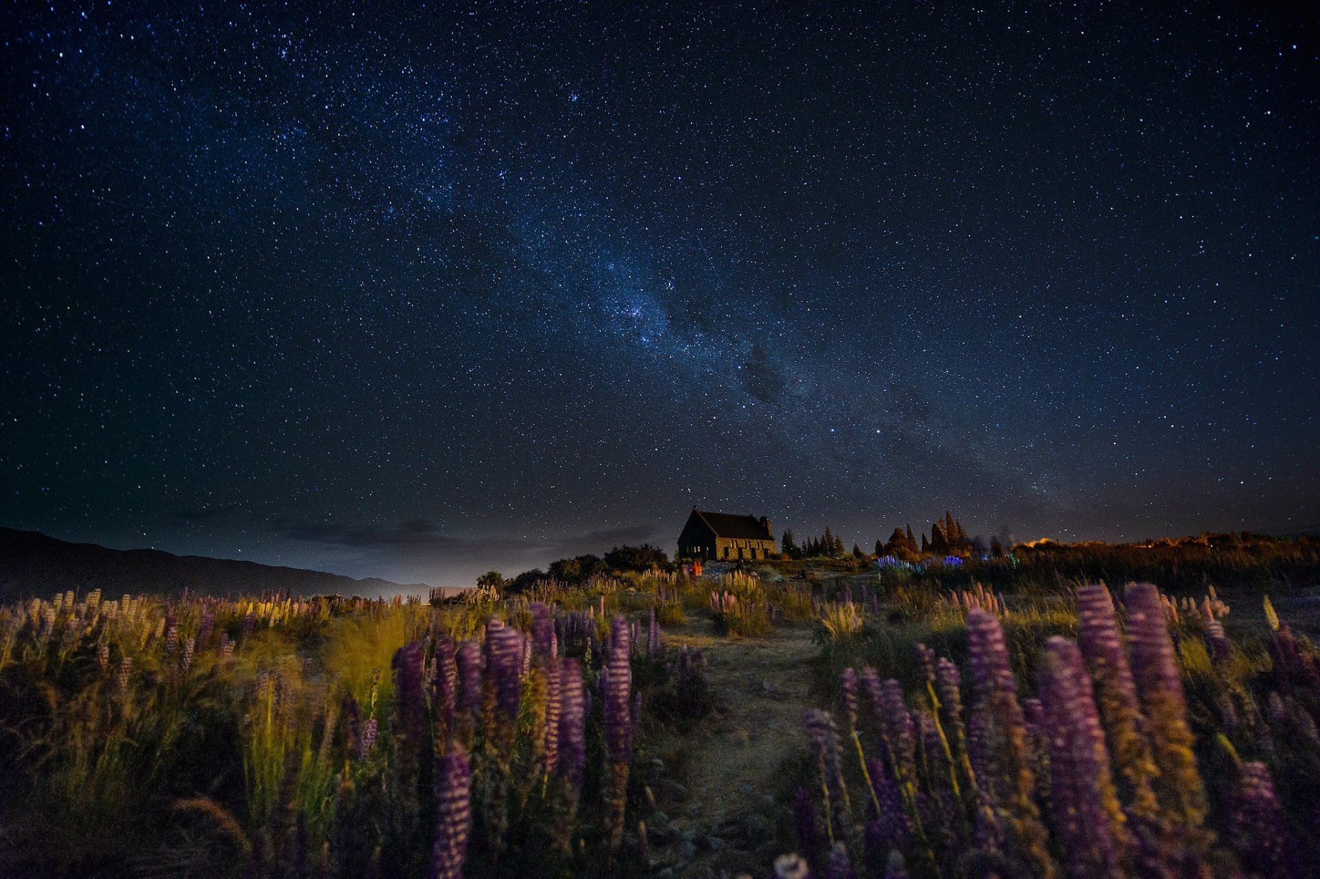 nueva zelanda noche cielo vía láctea colina casa sendero flores altramuces viento