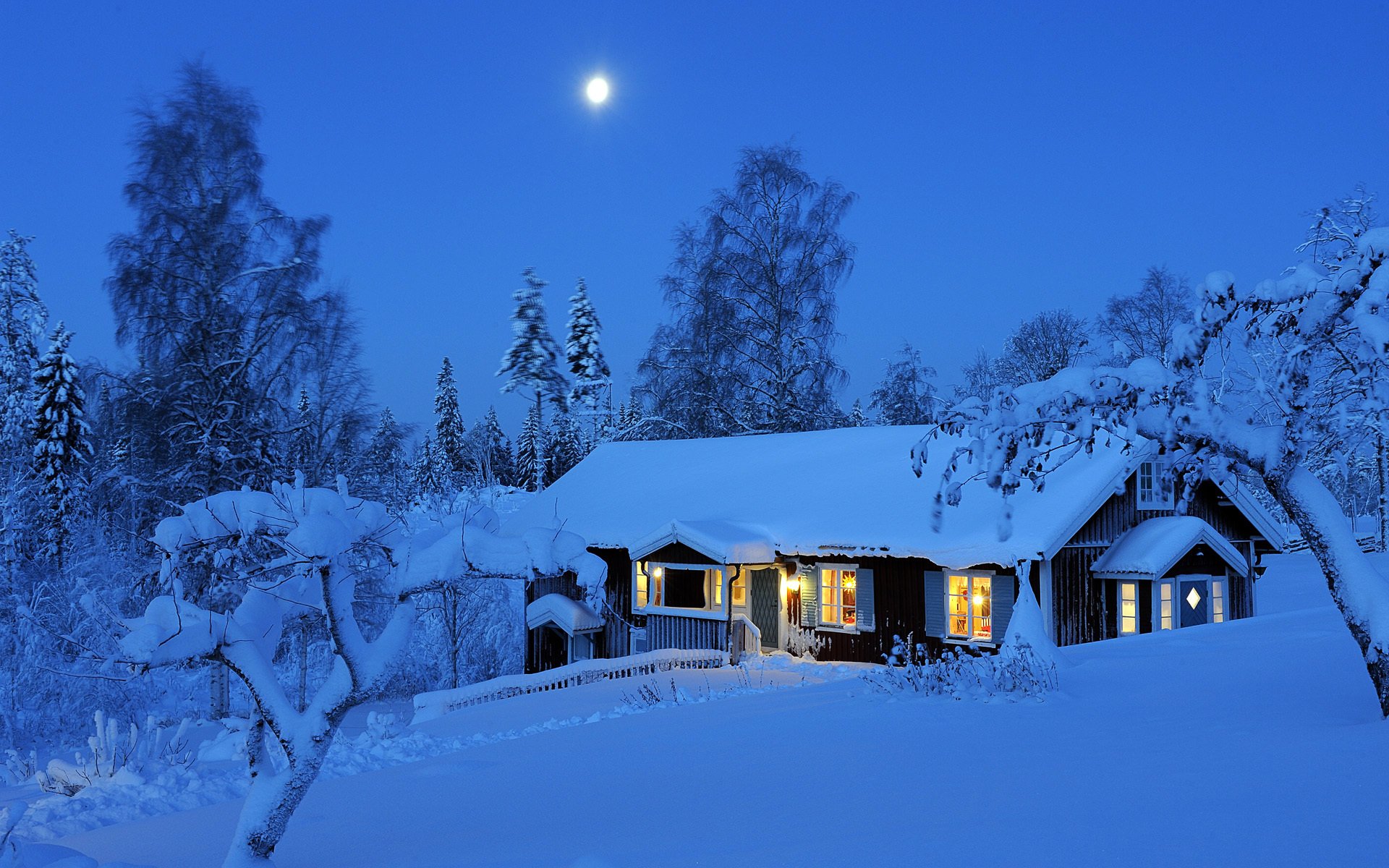 invierno noche dalarna suecia chatarra invierno nieve bosque árboles luna luz luces