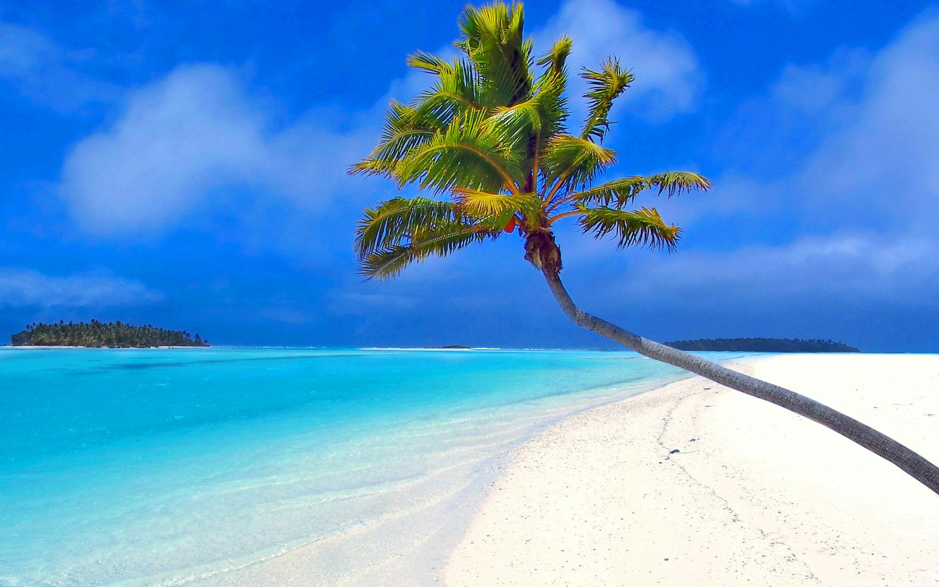 tropen himmel meer ozean insel sand strand palme