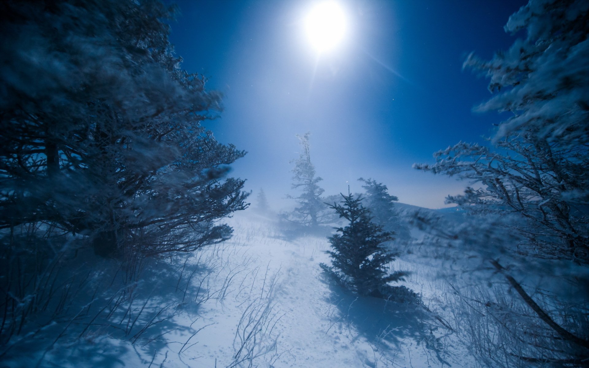 notte inverno luna paesaggio