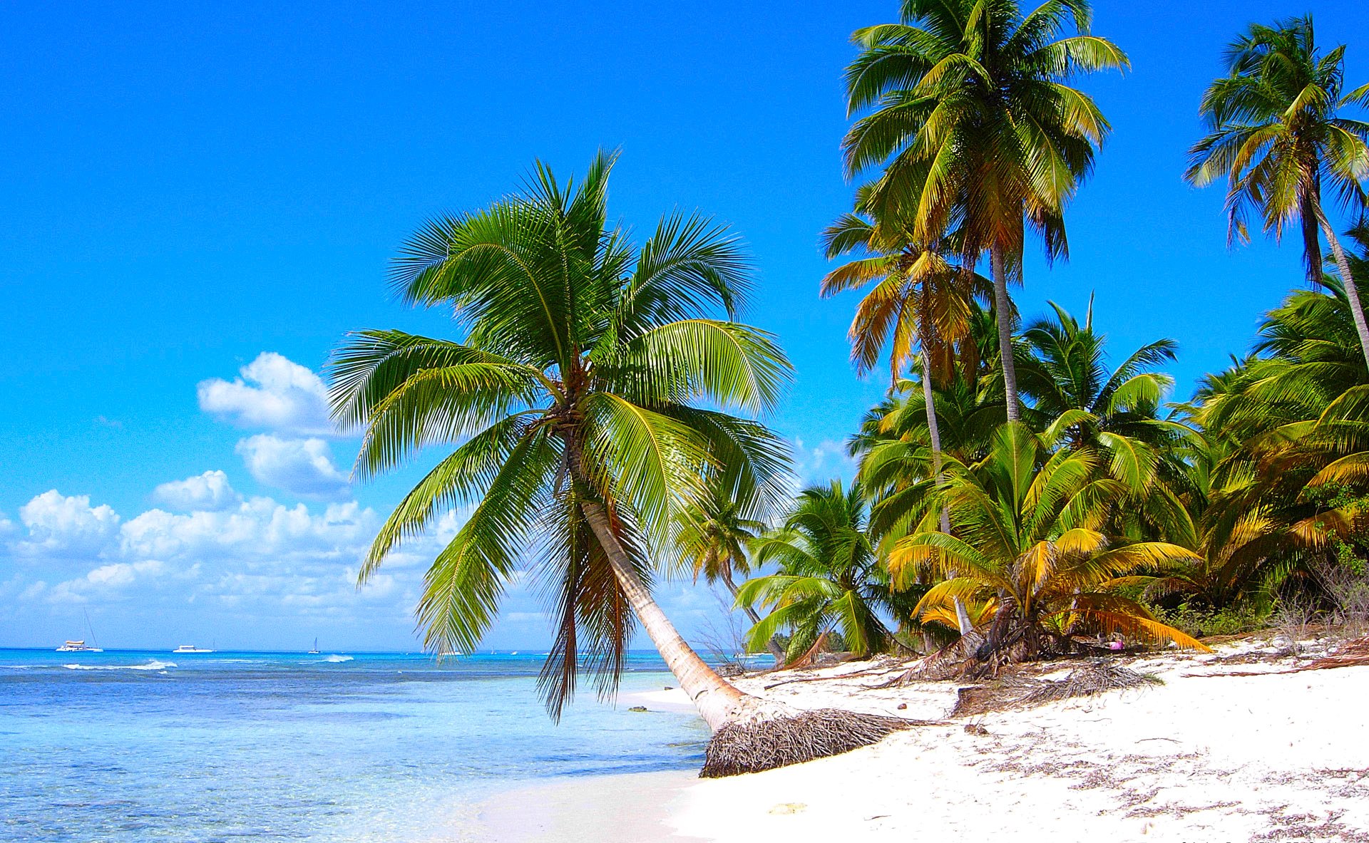 tropics sky clouds island sea palm