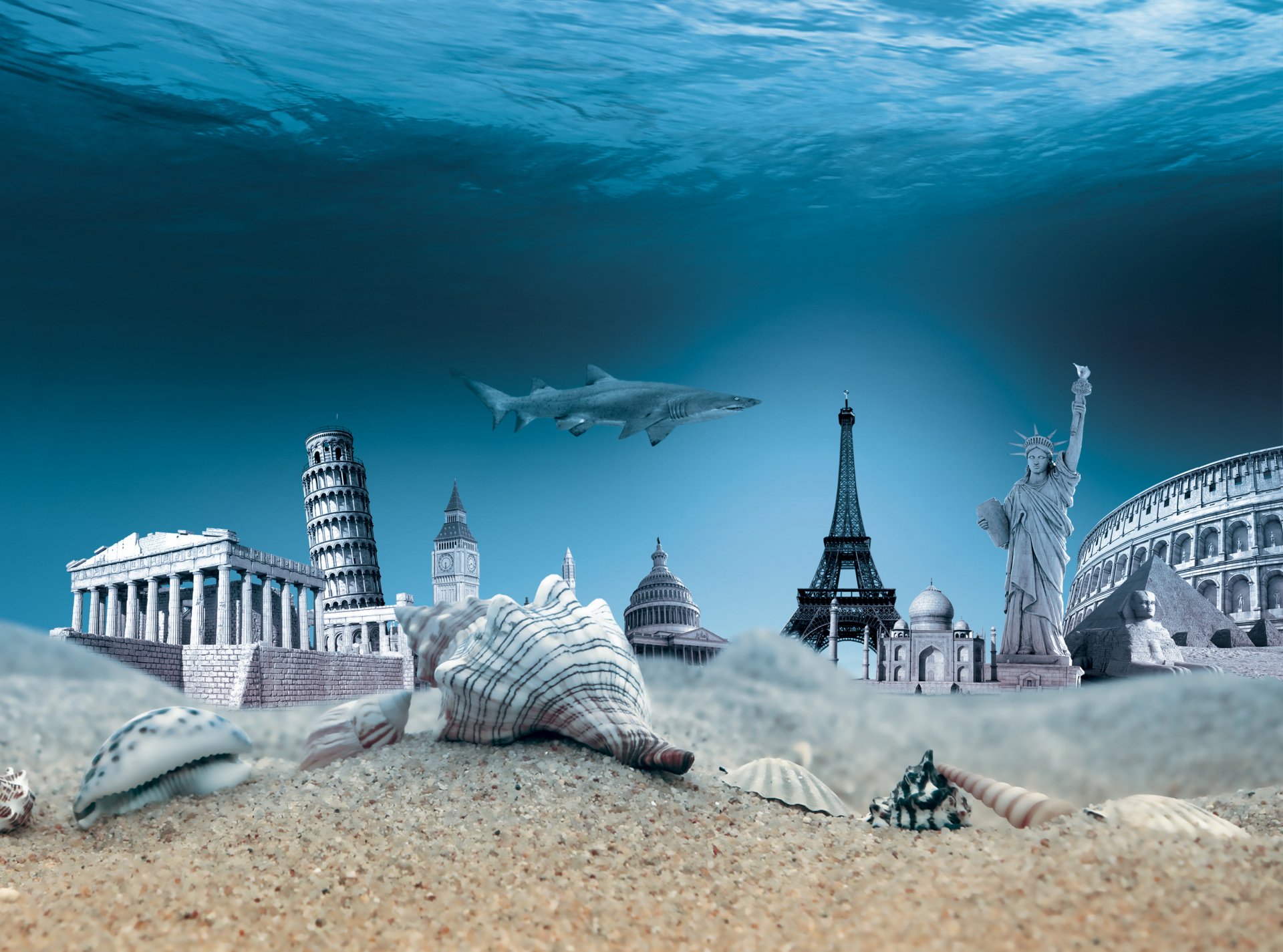 water ocean travel world shells sea bottom