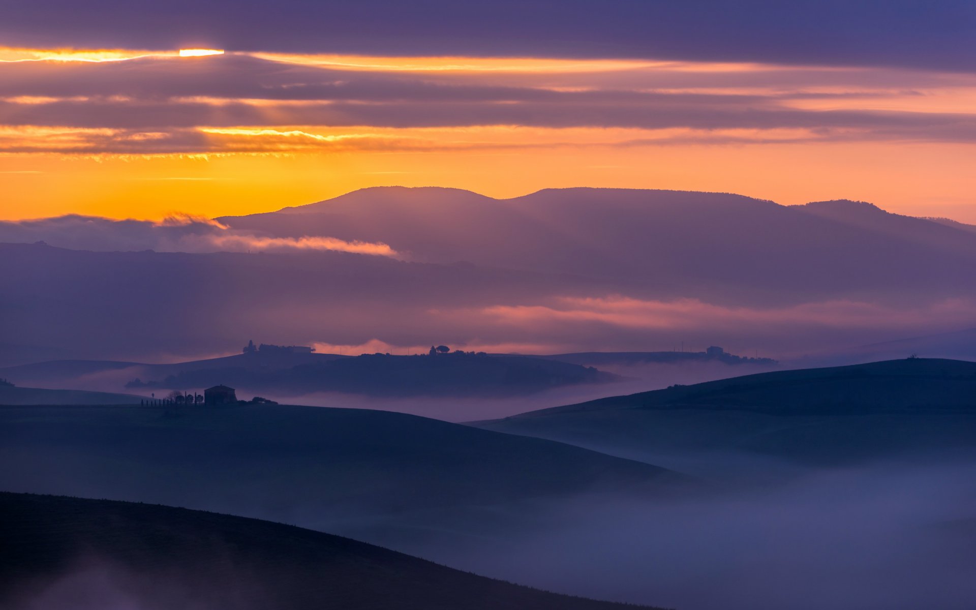 champ brouillard paysage