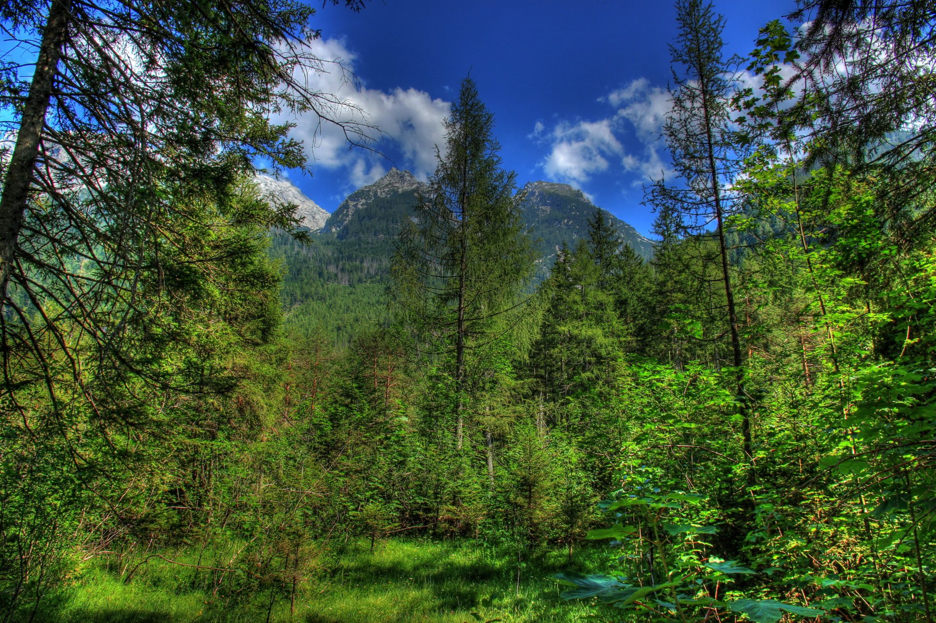 niemcy góry las bawaria hdr przyroda zdjęcia