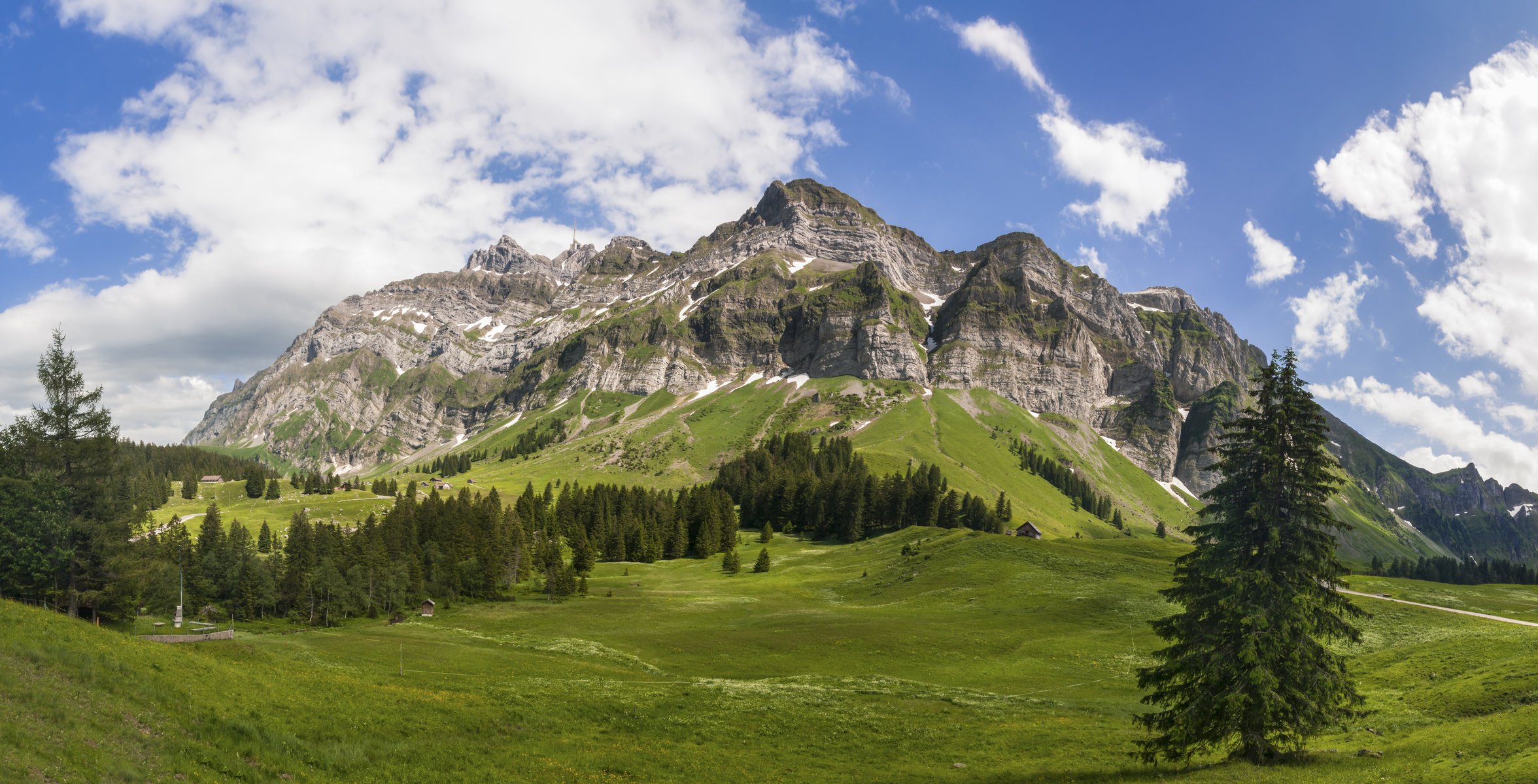 montañas picos prados bosque árboles cielo nubes