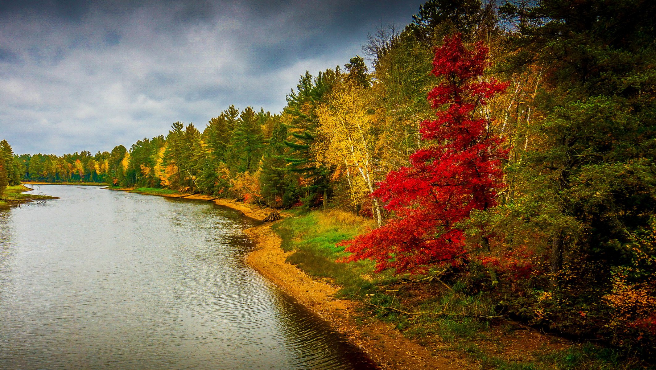 paysage automne rivière forêt arbres nature photo