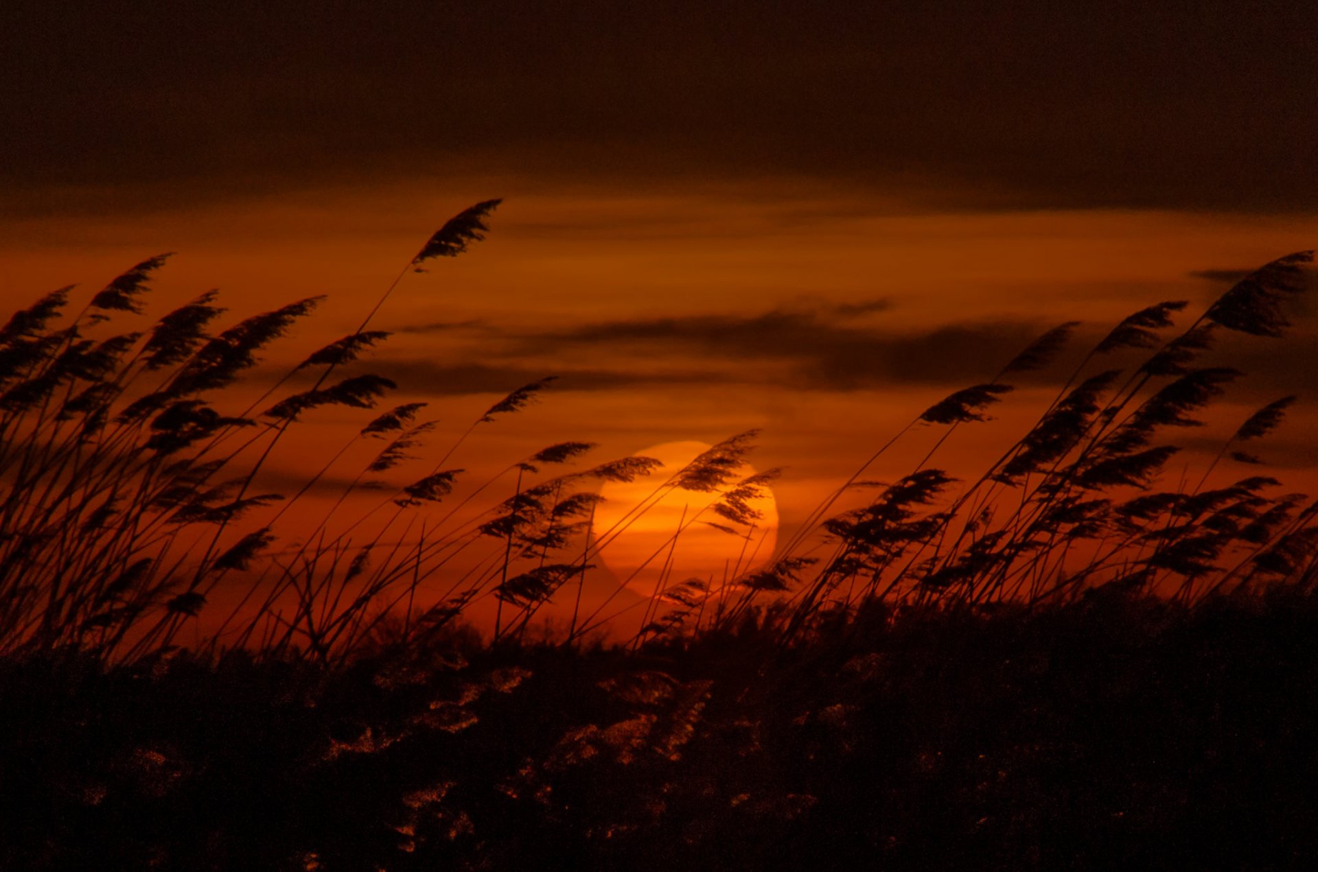 soirée coucher de soleil soleil disque camish