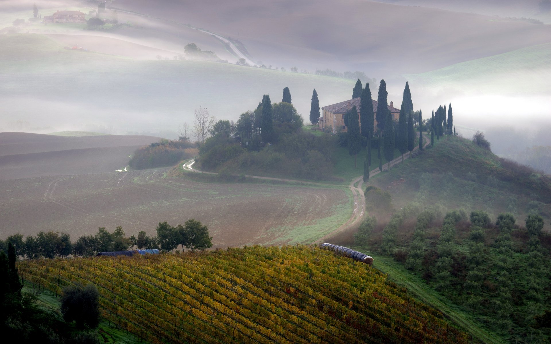 campo mañana niebla paisaje toscana