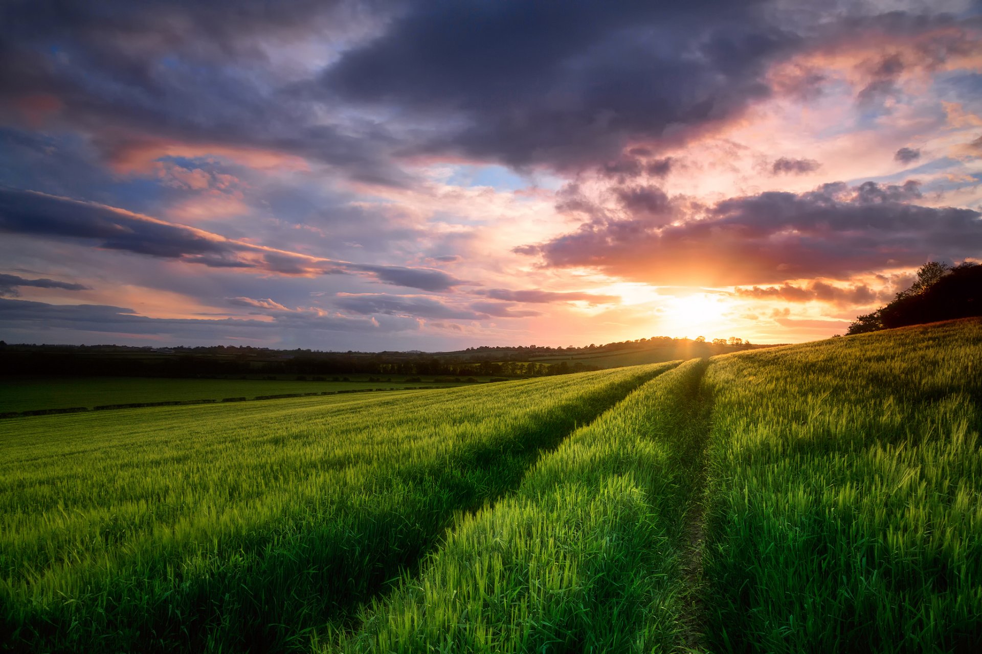 himmel wolken abend sonnenuntergang feld frühling mai