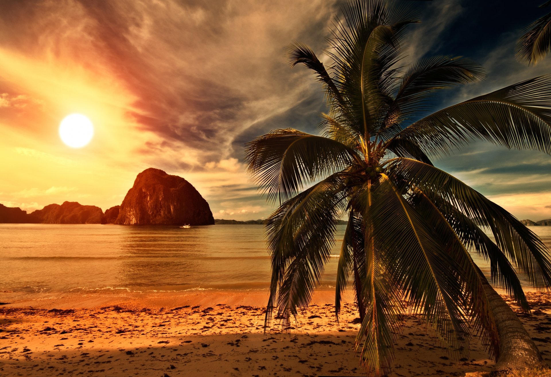 tropical beach palme sonnenuntergang ozean meer wolken himmel strand küste natur landschaft palmen weinen sand tropischer strand palmen sonne palmen weinen