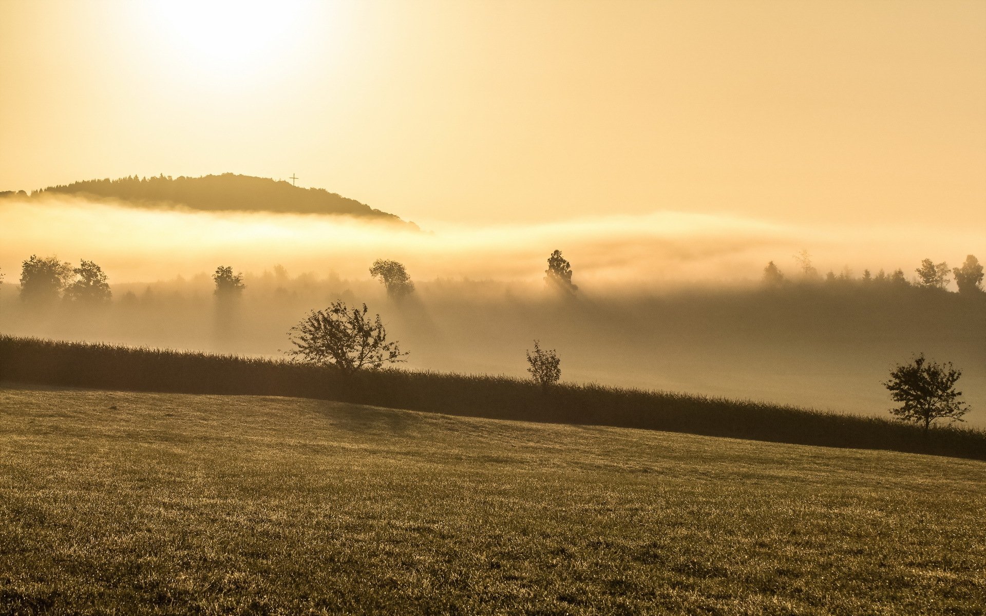 mattina nebbia paesaggio