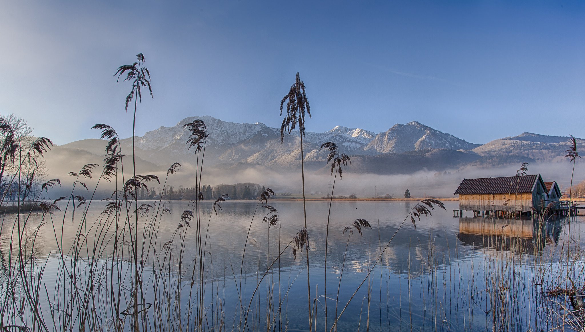 озеро eichsee бавария германия озеро утро туман