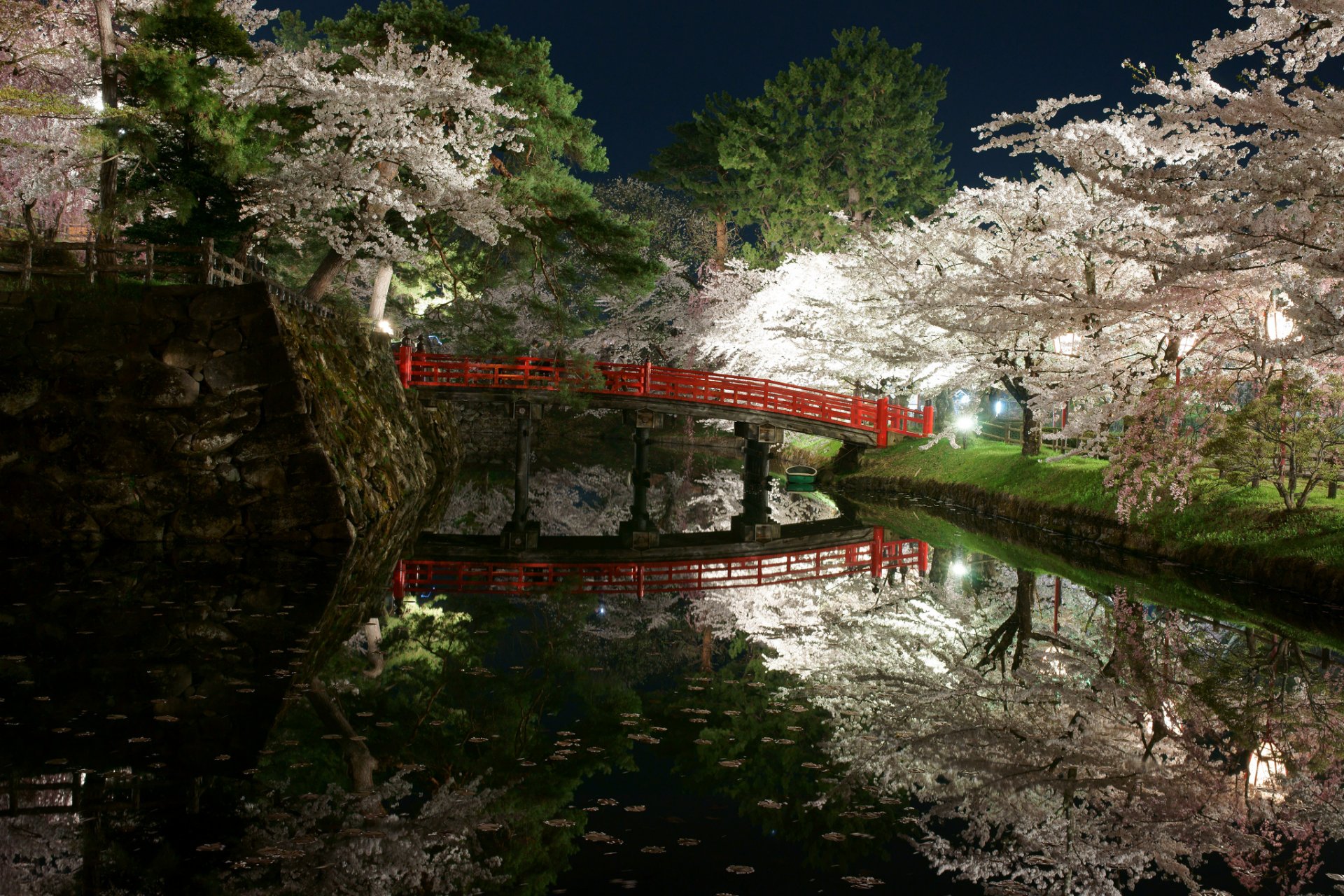 japón parque jardín árboles flores primavera noche luz cuerpo de agua puente