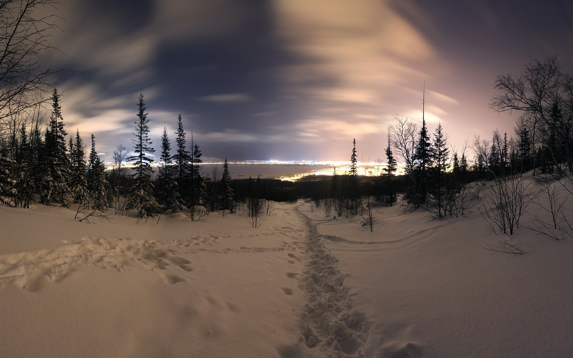 night winter snow town landscape