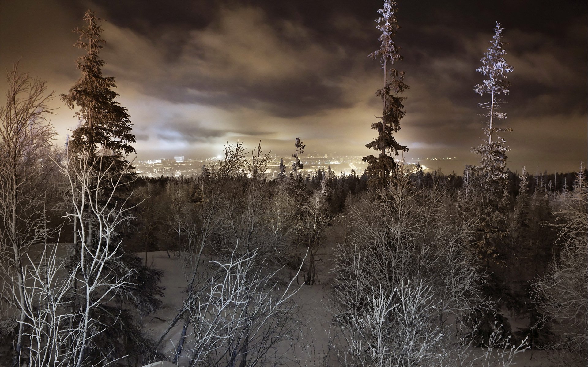 hiver forêt ville paysage