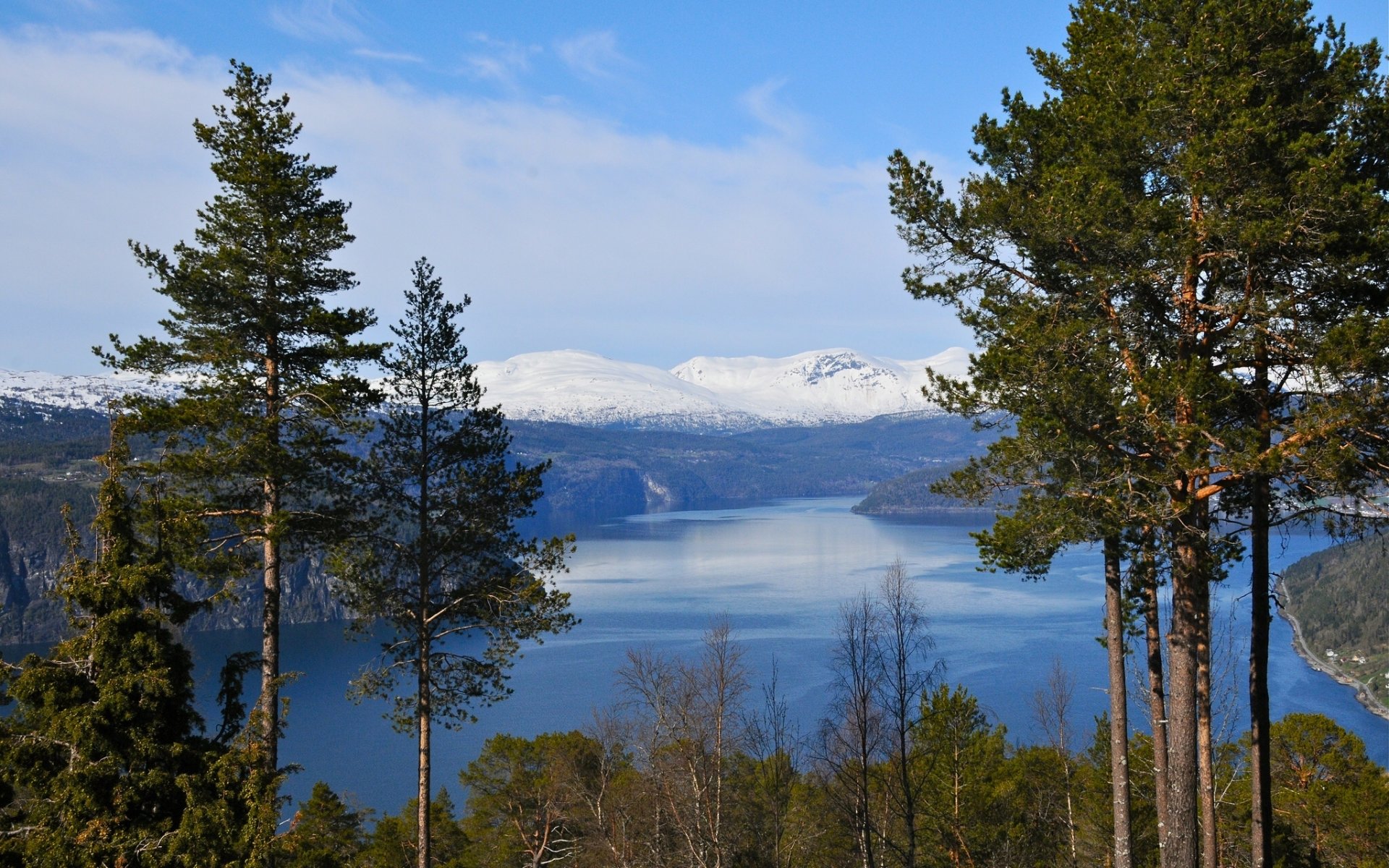 noruega fiordo montañas árboles