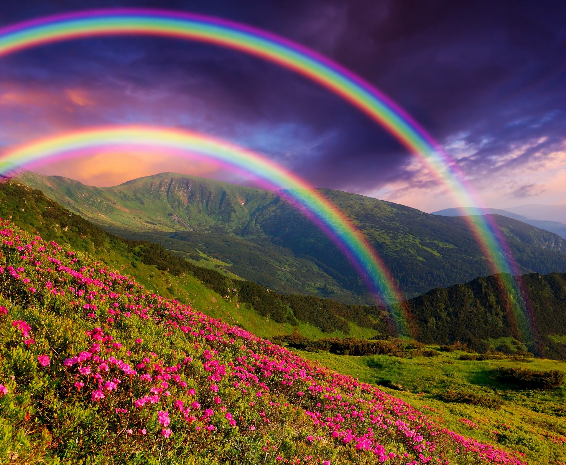 natur landschaft berge blumen regenbogen regenbogen