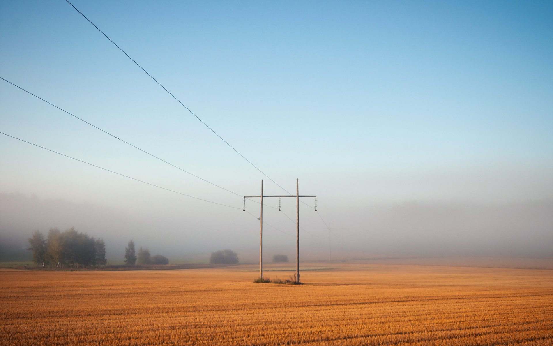 feld nebel stromleitung landschaft